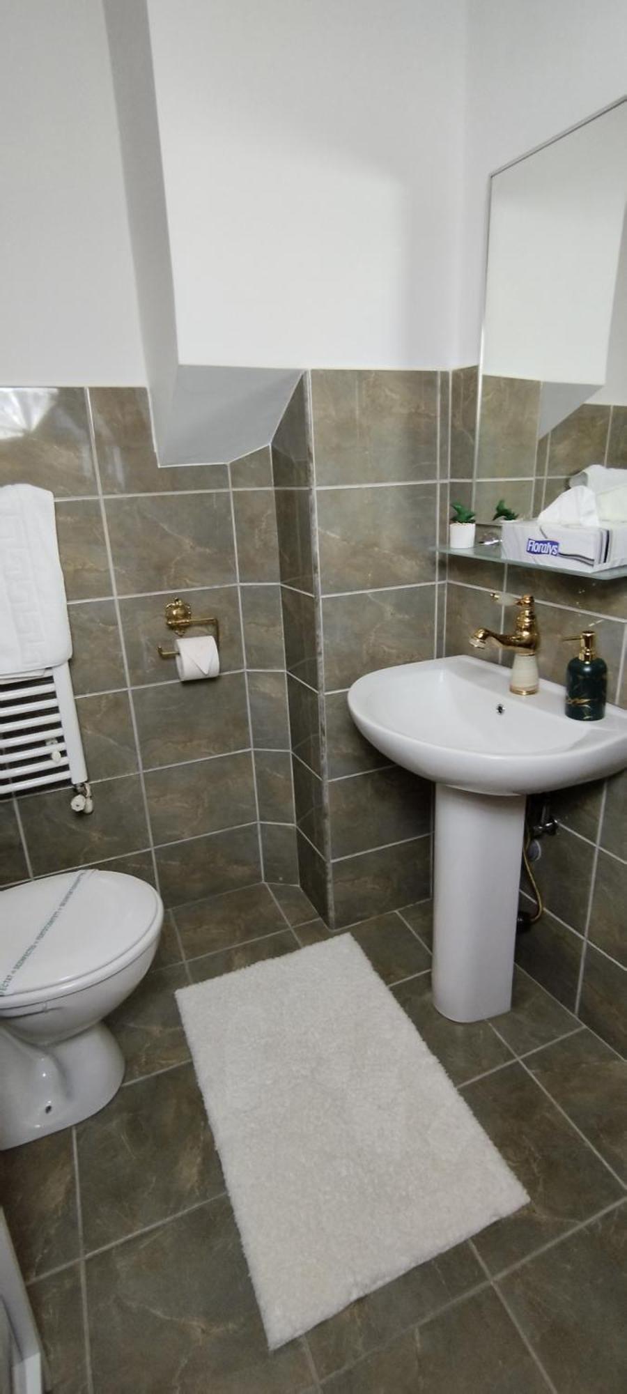 Apartment Lex Diamond Targu Mures